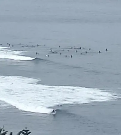 アパート Torres Yomely