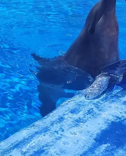 Διαμέρισμα Torres Yomely *